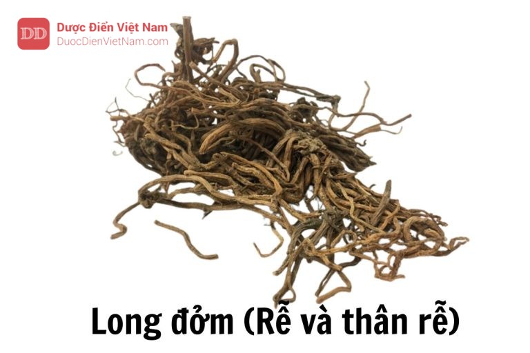 Long đởm