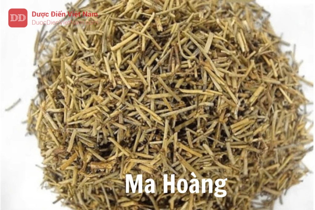 Ma hoàng