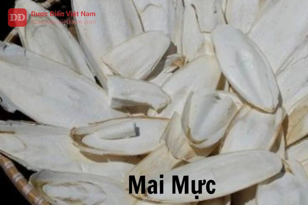 Mai mực