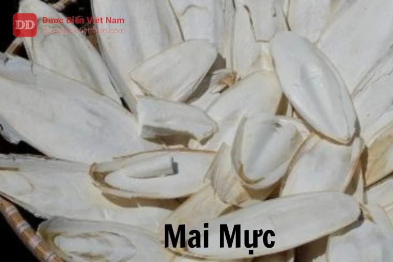 Mai mực