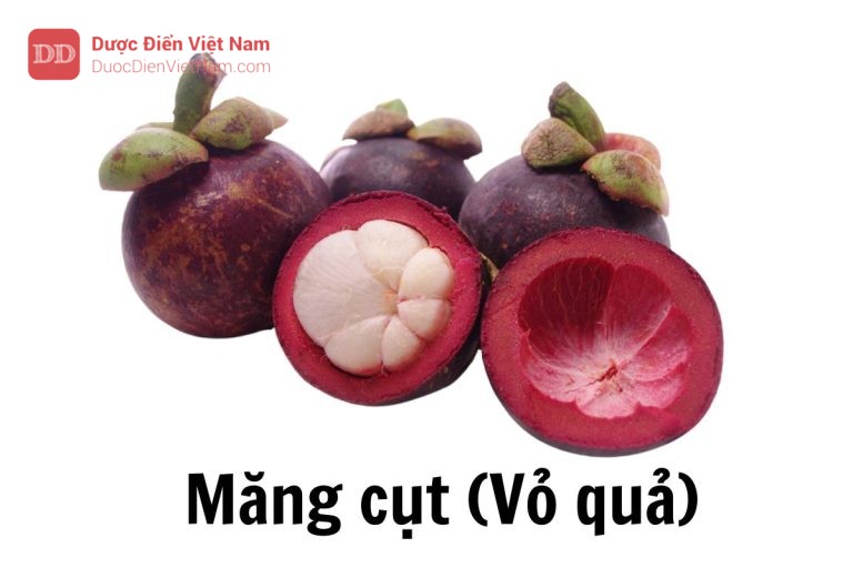 Măng cụt