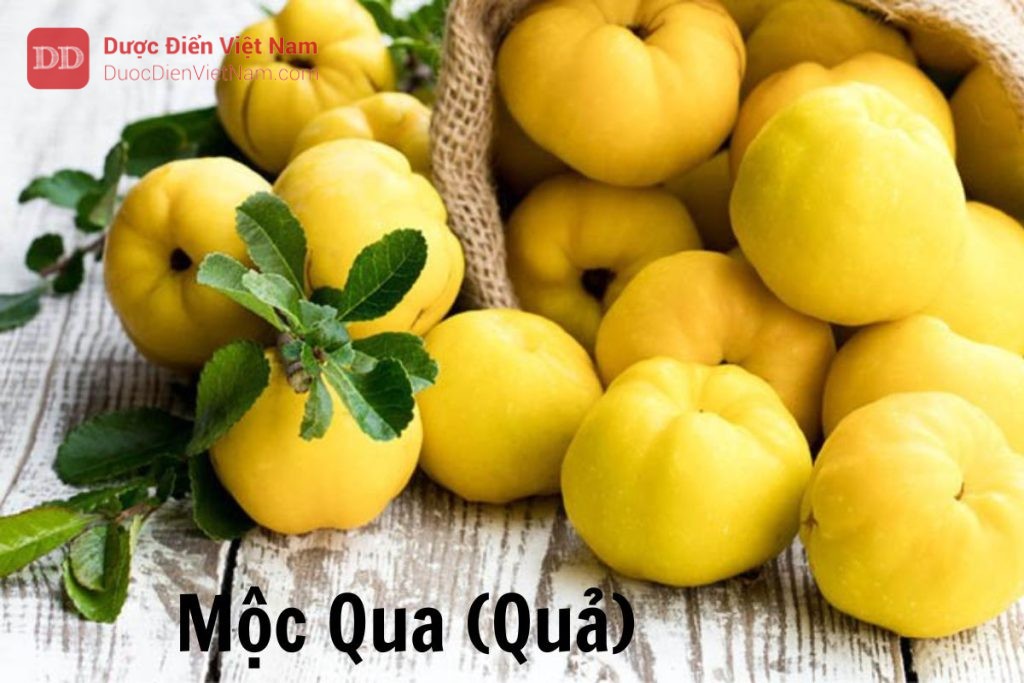 Mộc qua