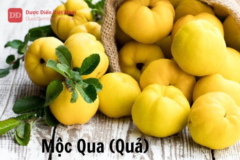 Mộc qua