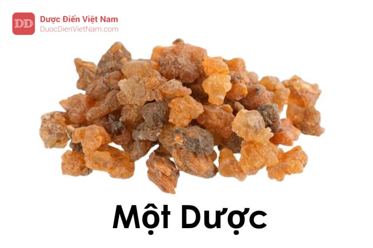 Một dược