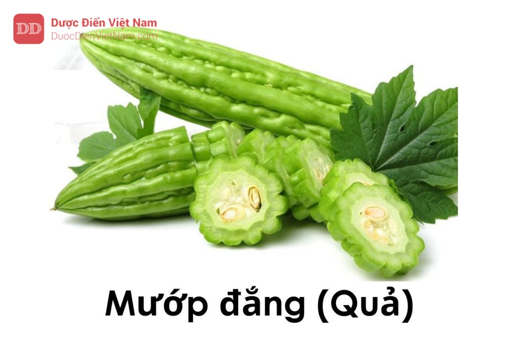 Mướp đắng