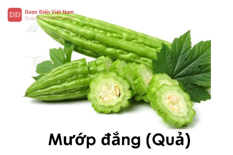 Mướp đắng