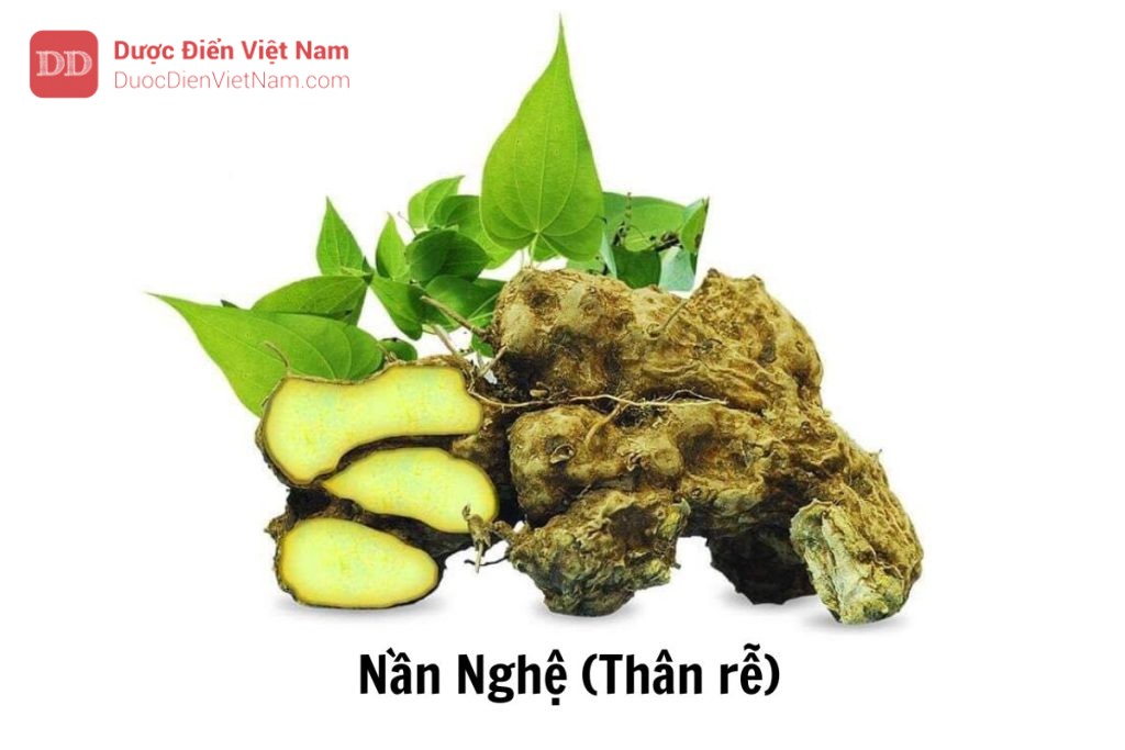 Nần Nghệ (Thân rễ)