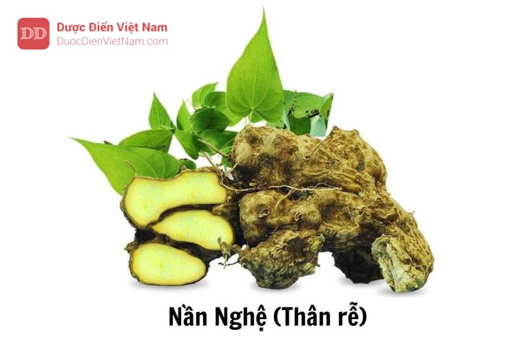 Nần Nghệ (Thân rễ)