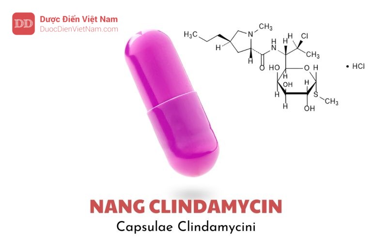 NANG CLINDAMYCIN