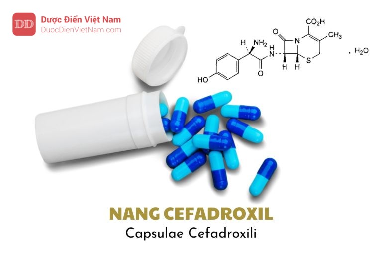 Nang cefadroxil