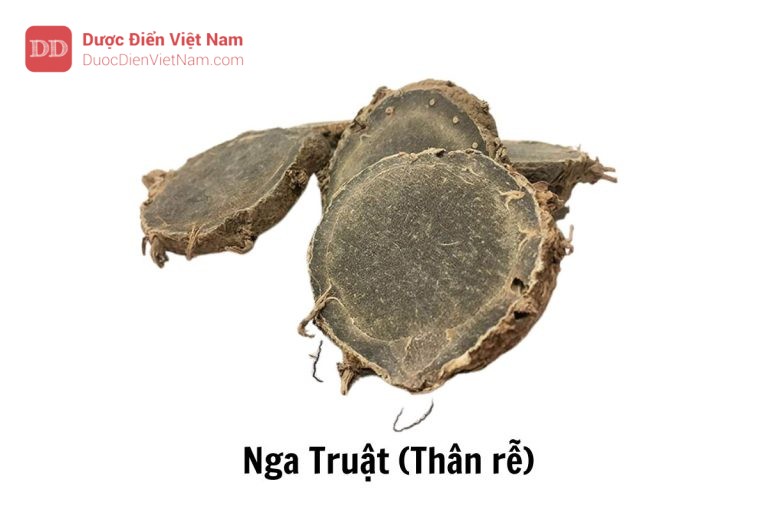 Nga truật