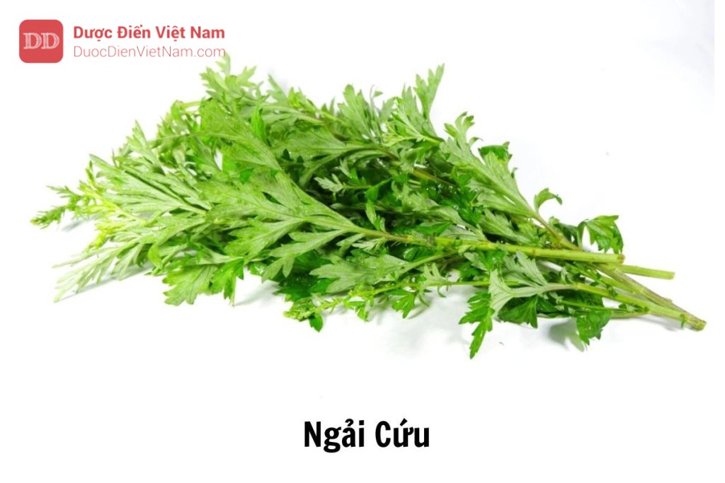 Ngải cứu