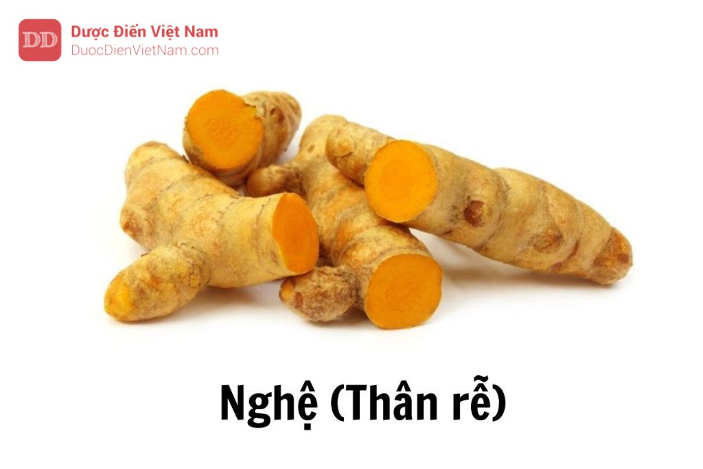 Nghệ