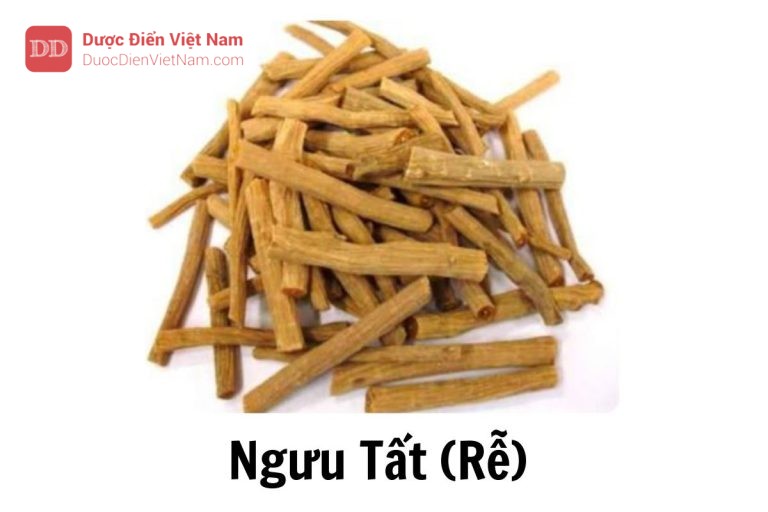 Ngưu tất