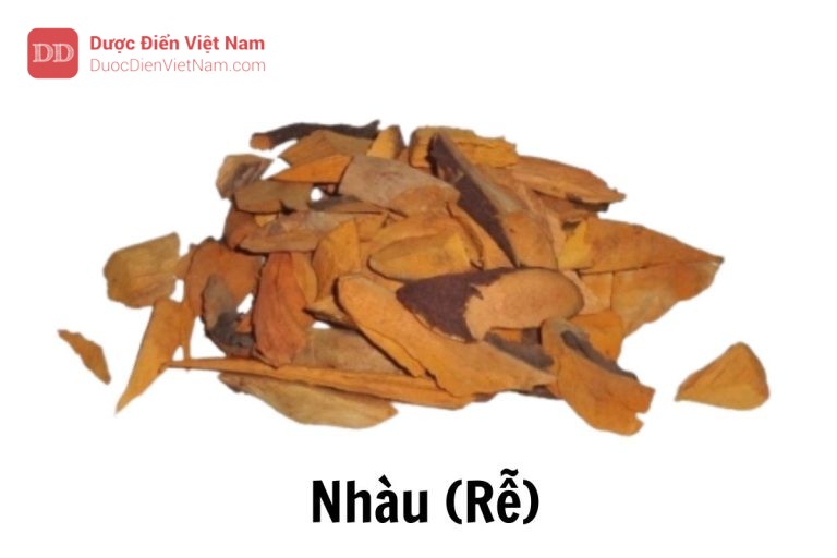 Nhàu rễ