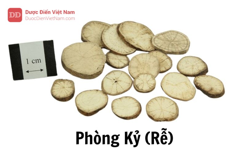 Phòng kỷ