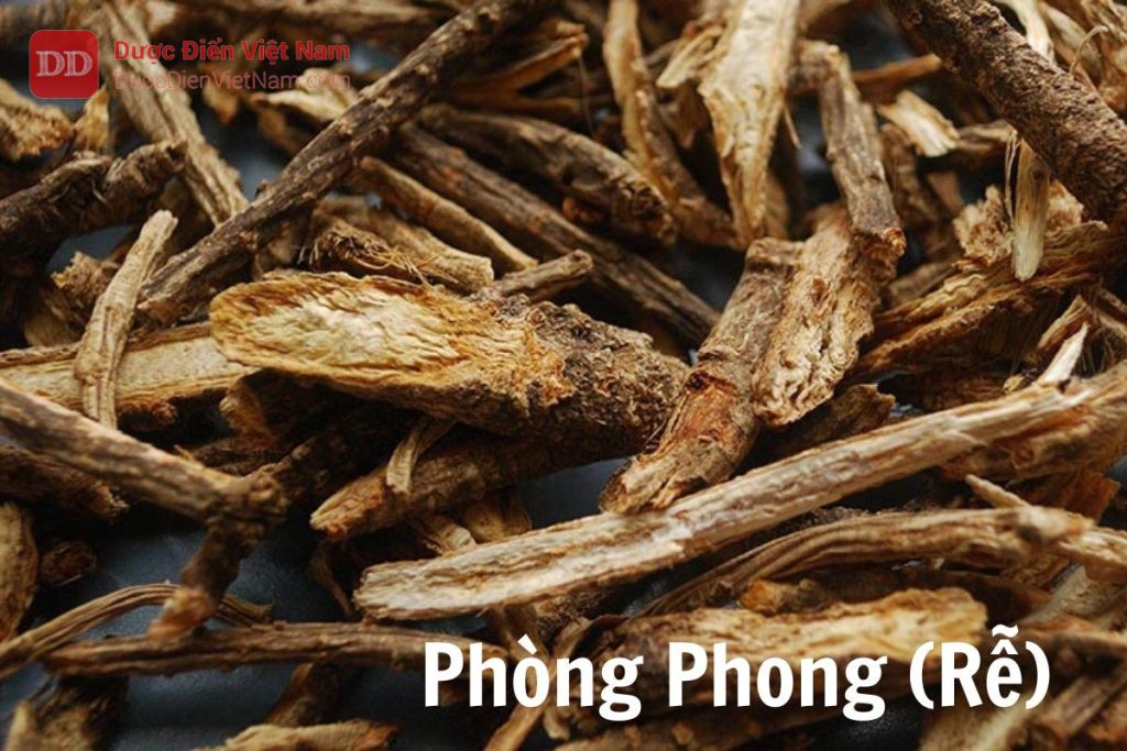 Phòng phong