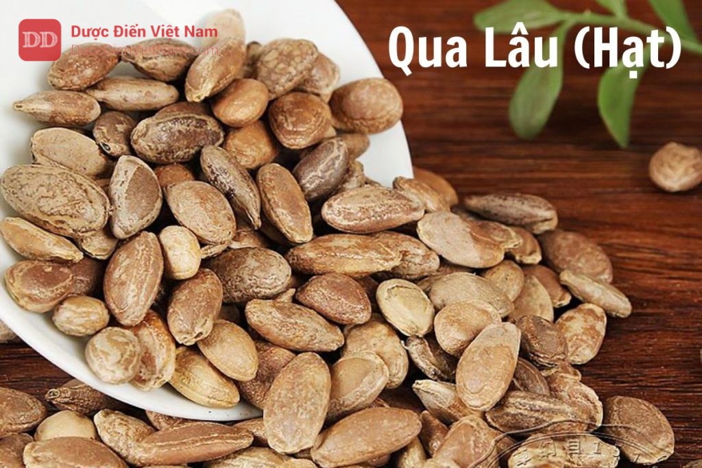 Qua lâu hạt