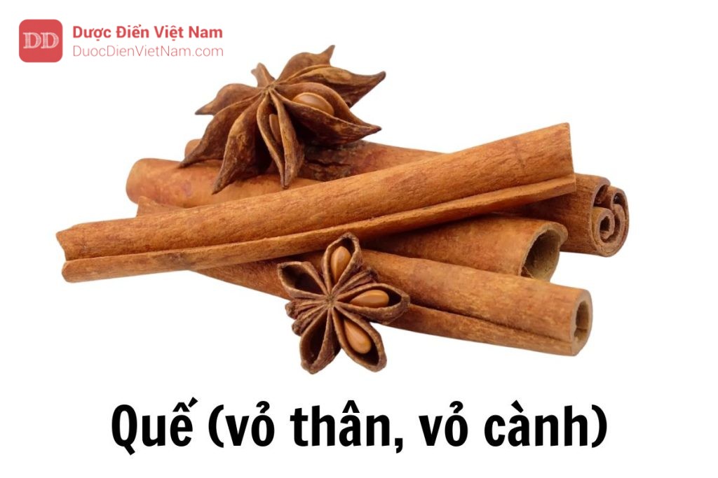 Quế vỏ thân vỏ cành