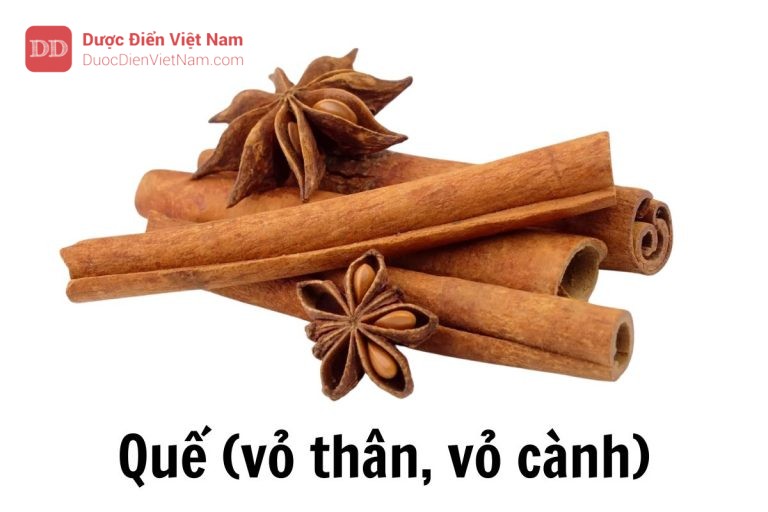 Quế vỏ thân vỏ cành