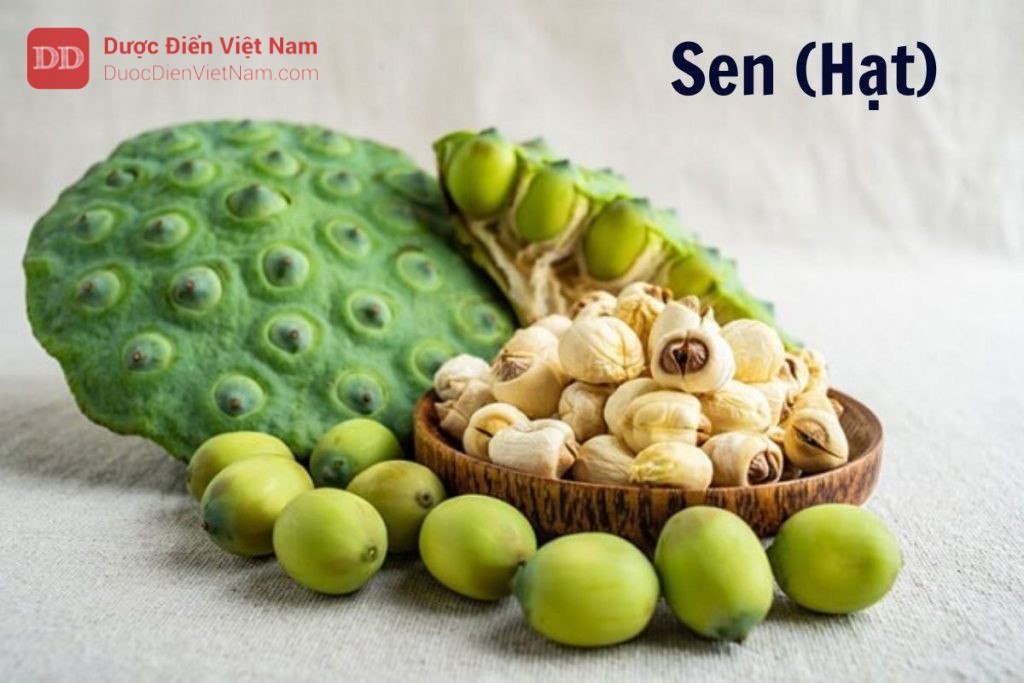 Sen hạt