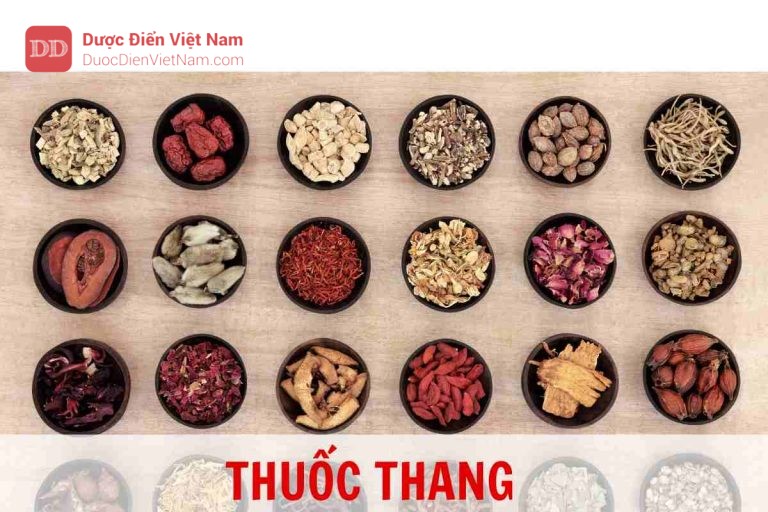 THUỐC THANG