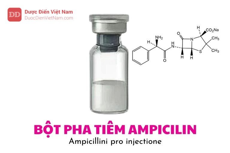 Bột pha tiêm ampicilin