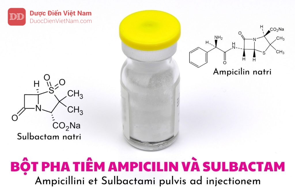 Bột pha tiêm Ampicilin và Sulbactam