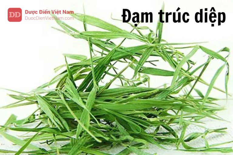 đạm trúc diệp