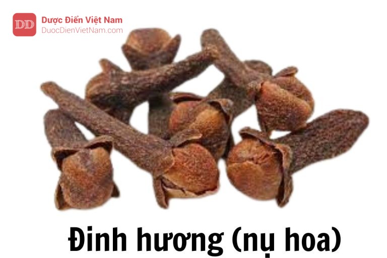 đinh hương