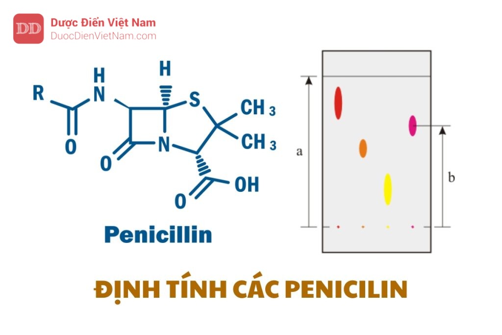 ĐỊNH TÍNH CÁC PENICILIN