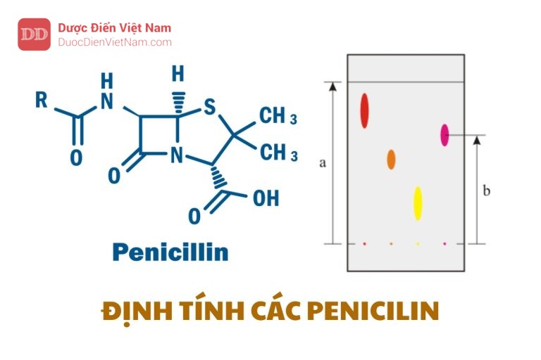 ĐỊNH TÍNH CÁC PENICILIN