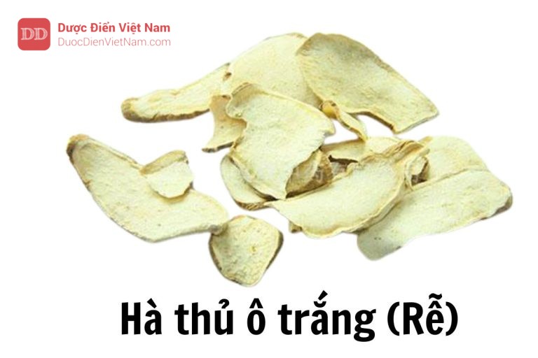 hà thủ ô trắng