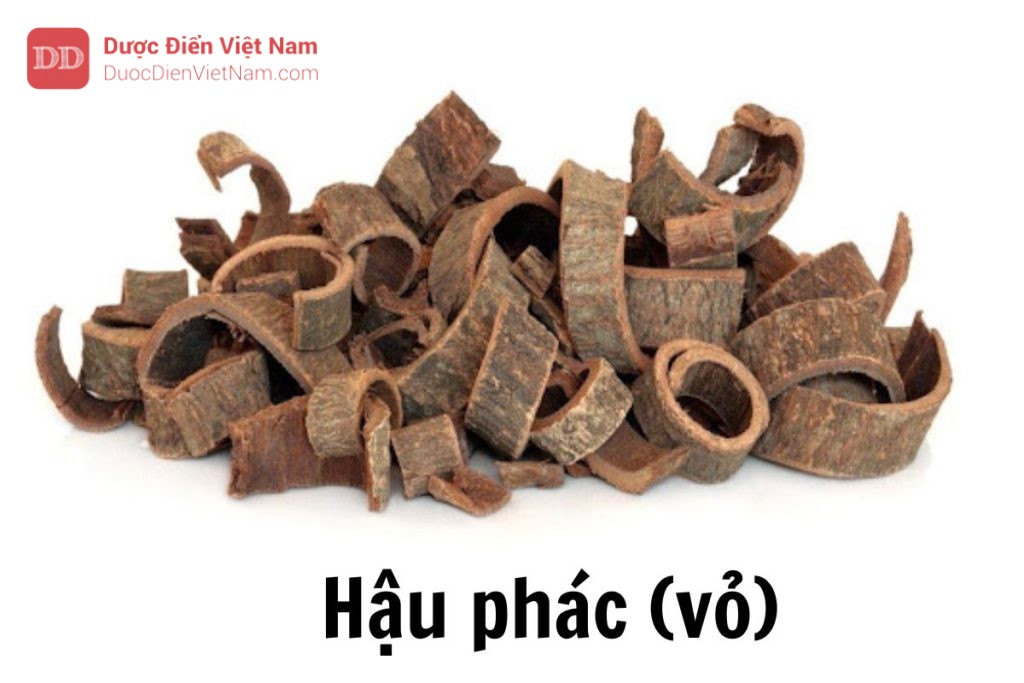 hậu phác