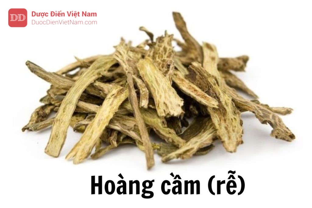 hoàng cầm