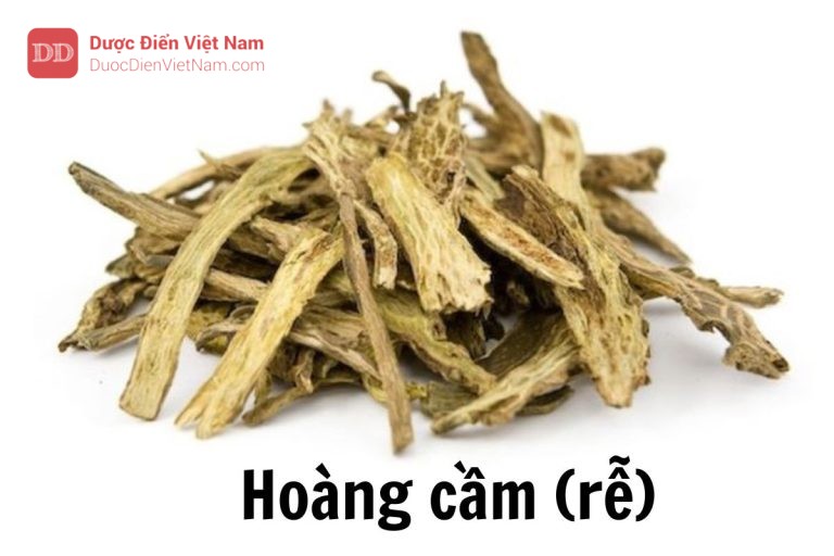 hoàng cầm