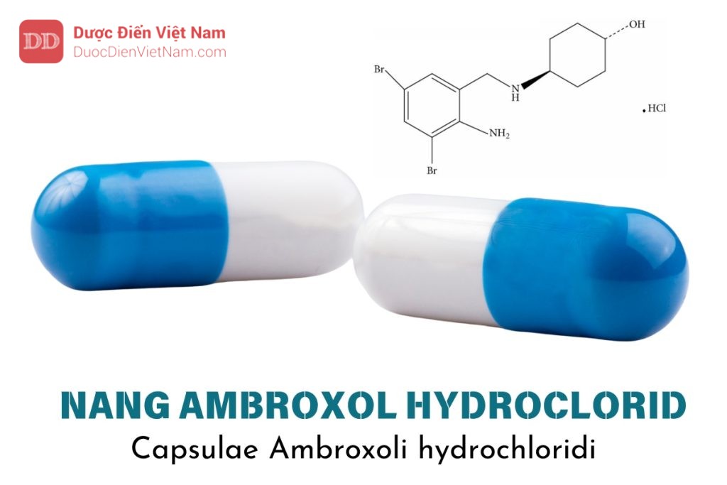 nang Ambroxol hydroclorid