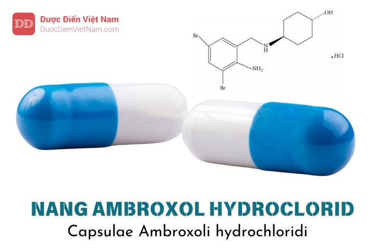 nang Ambroxol hydroclorid