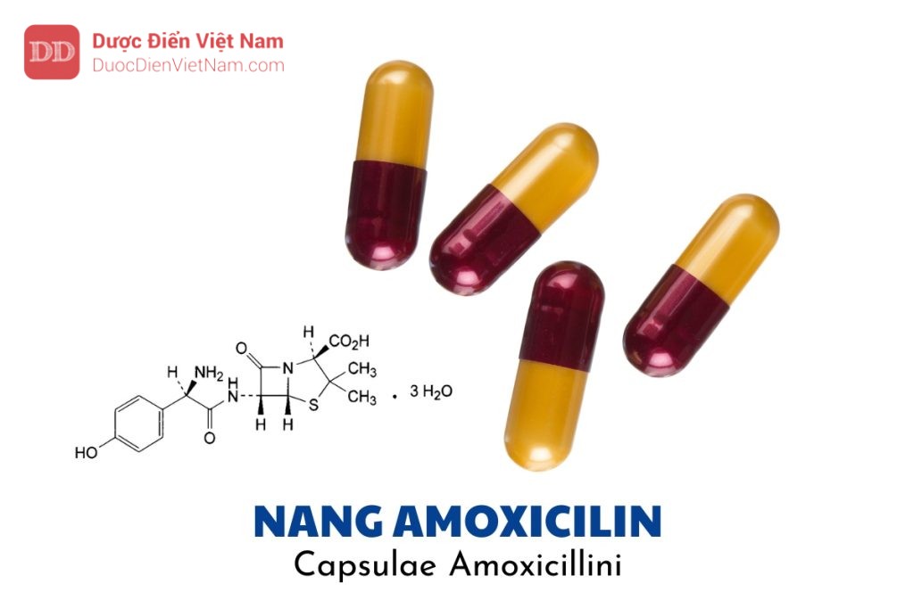 nang Amoxicilin