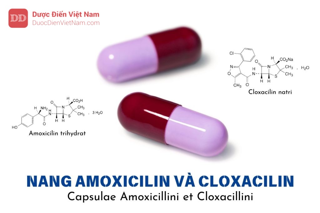 nang Amoxicilin và Cloxacilin