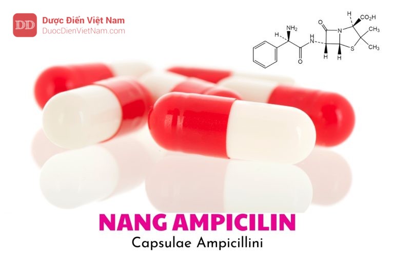 nang Ampicilin