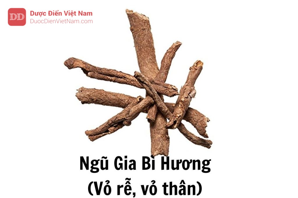 ngũ gia bì hương