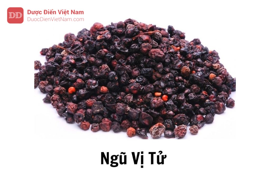 ngũ vị tử