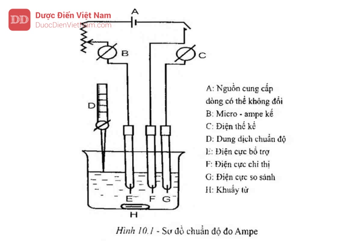 phu luc 10.1