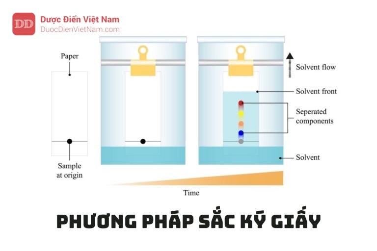 PHƯƠNG PHÁP SẮC KÝ GIẤY