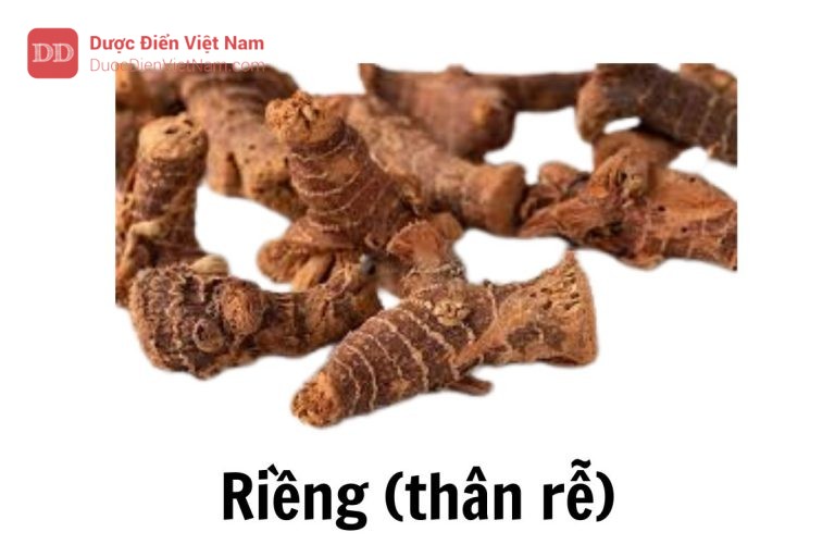 riềng