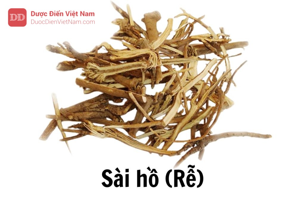 sài hồ