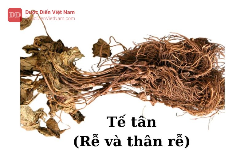 tế tân