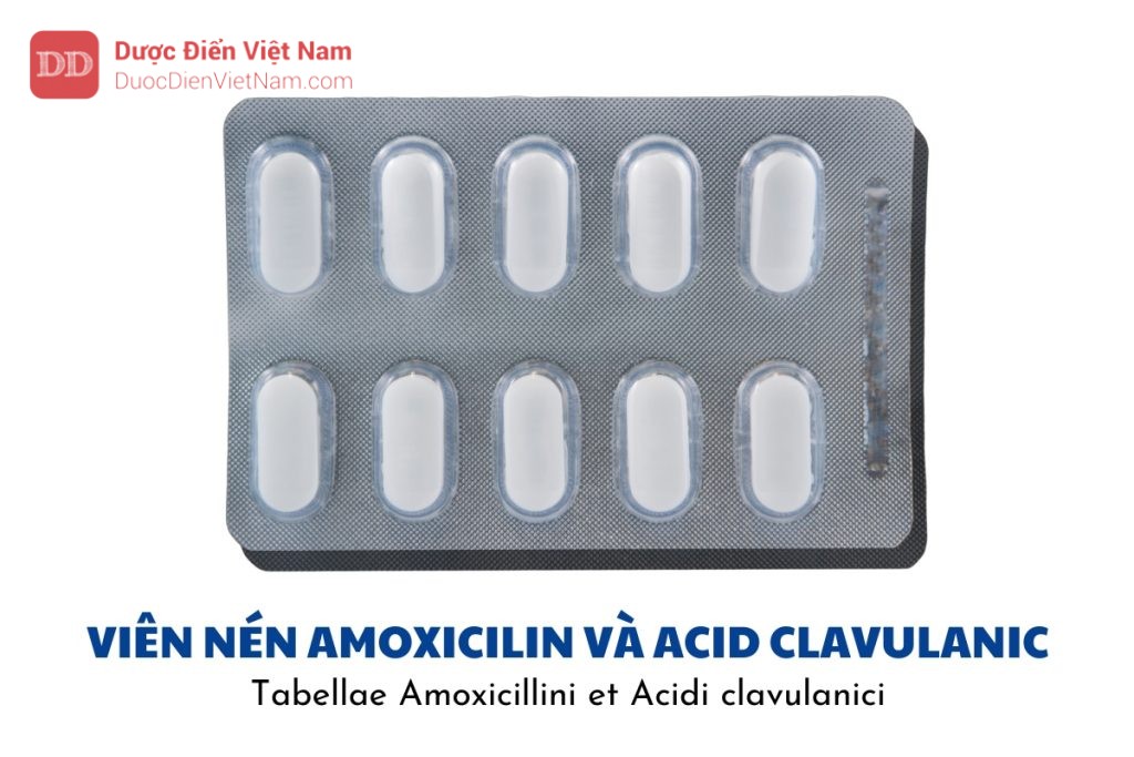 viên nén Amoxicilin và Acid clavulanic
