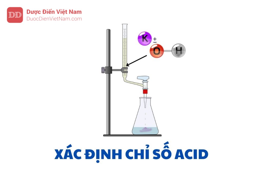 XÁC ĐỊNH CHỈ SỐ ACID